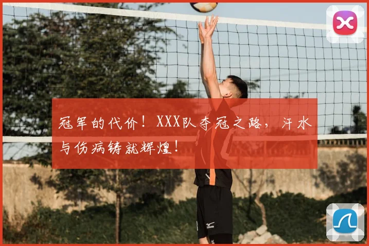 冠军的代价!XXX队夺冠之路,汗水与伤病铸就辉煌!