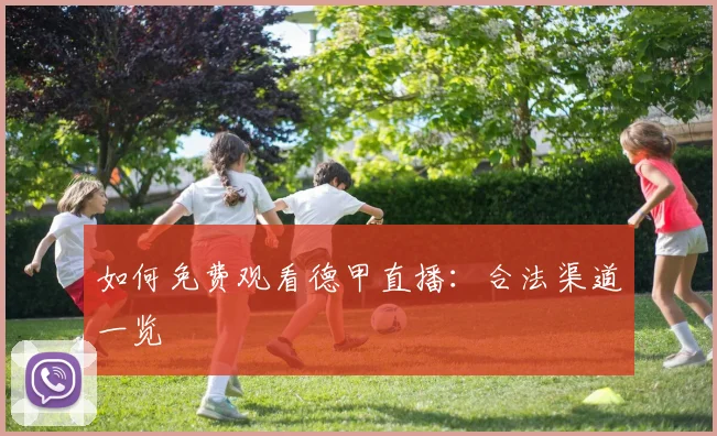 如何免费观看德甲直播：合法渠道一览